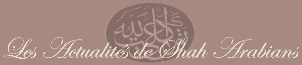 pur sang arabe