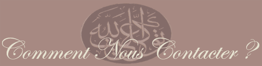 pur sang arabe